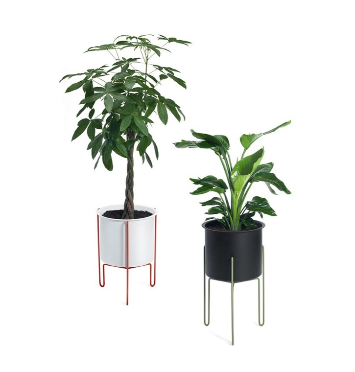 Meridius Planter