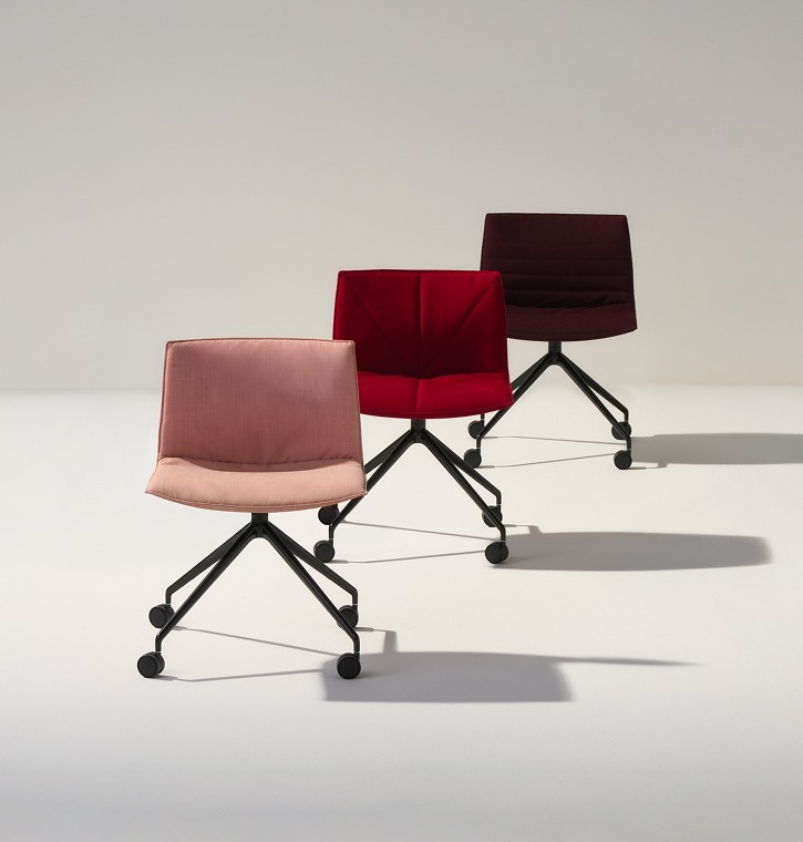 Catifa (RE) 53 Collection Info