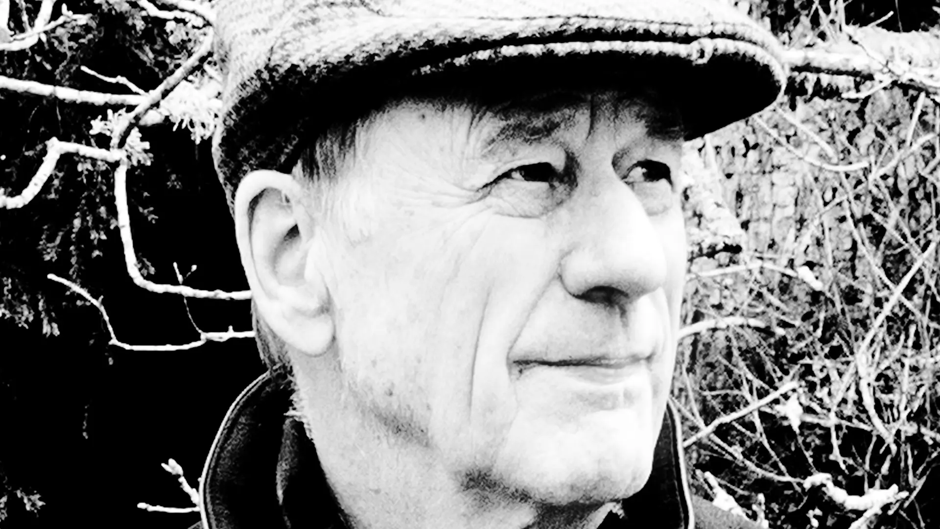 Timothy-Ingold
