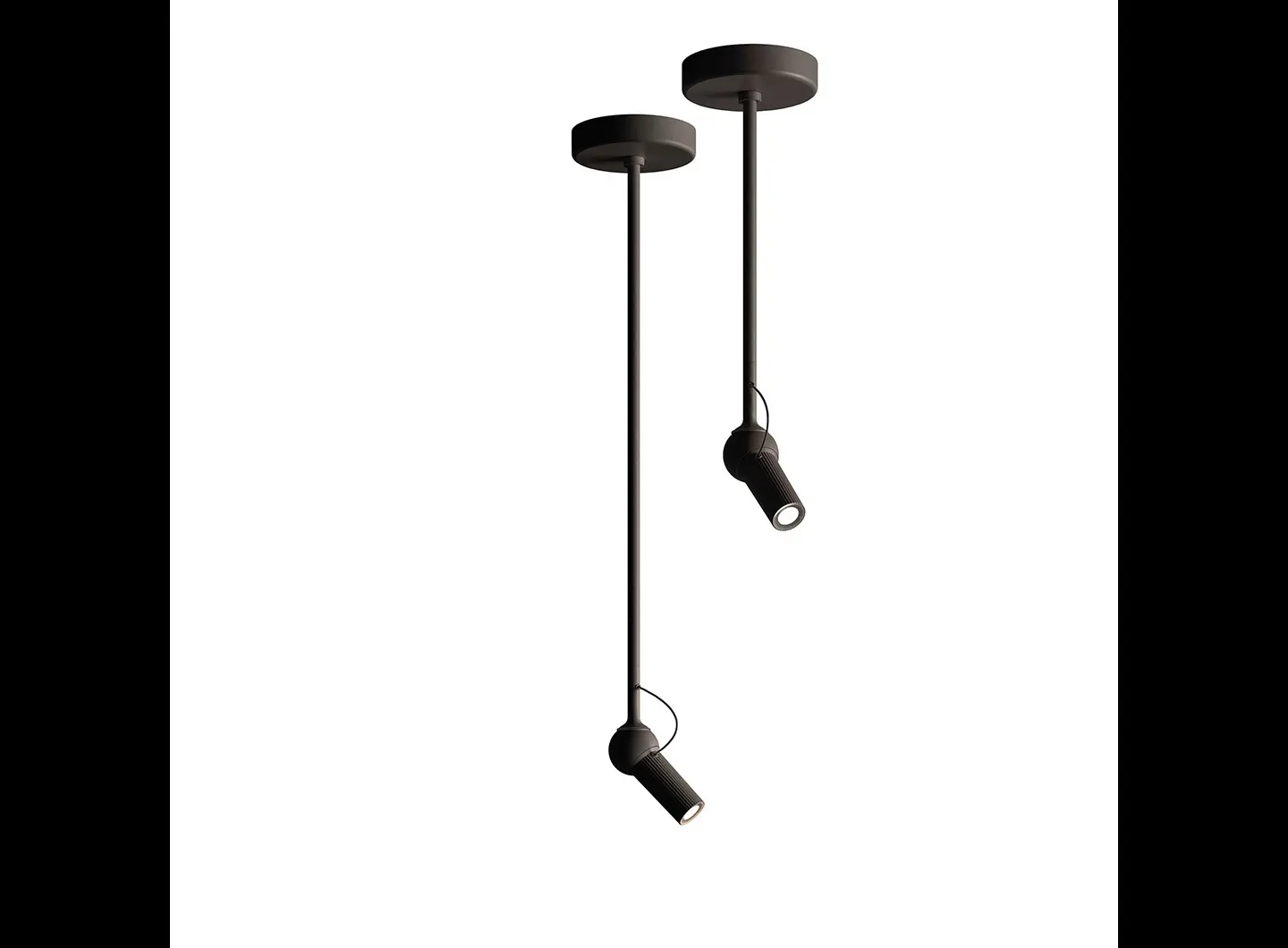 KDLN - Bird Ceiling black