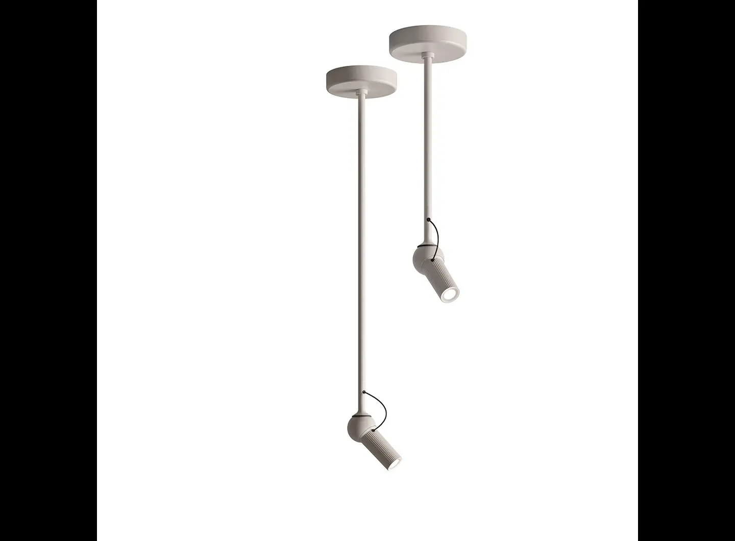 KDLN - Bird Ceiling white
