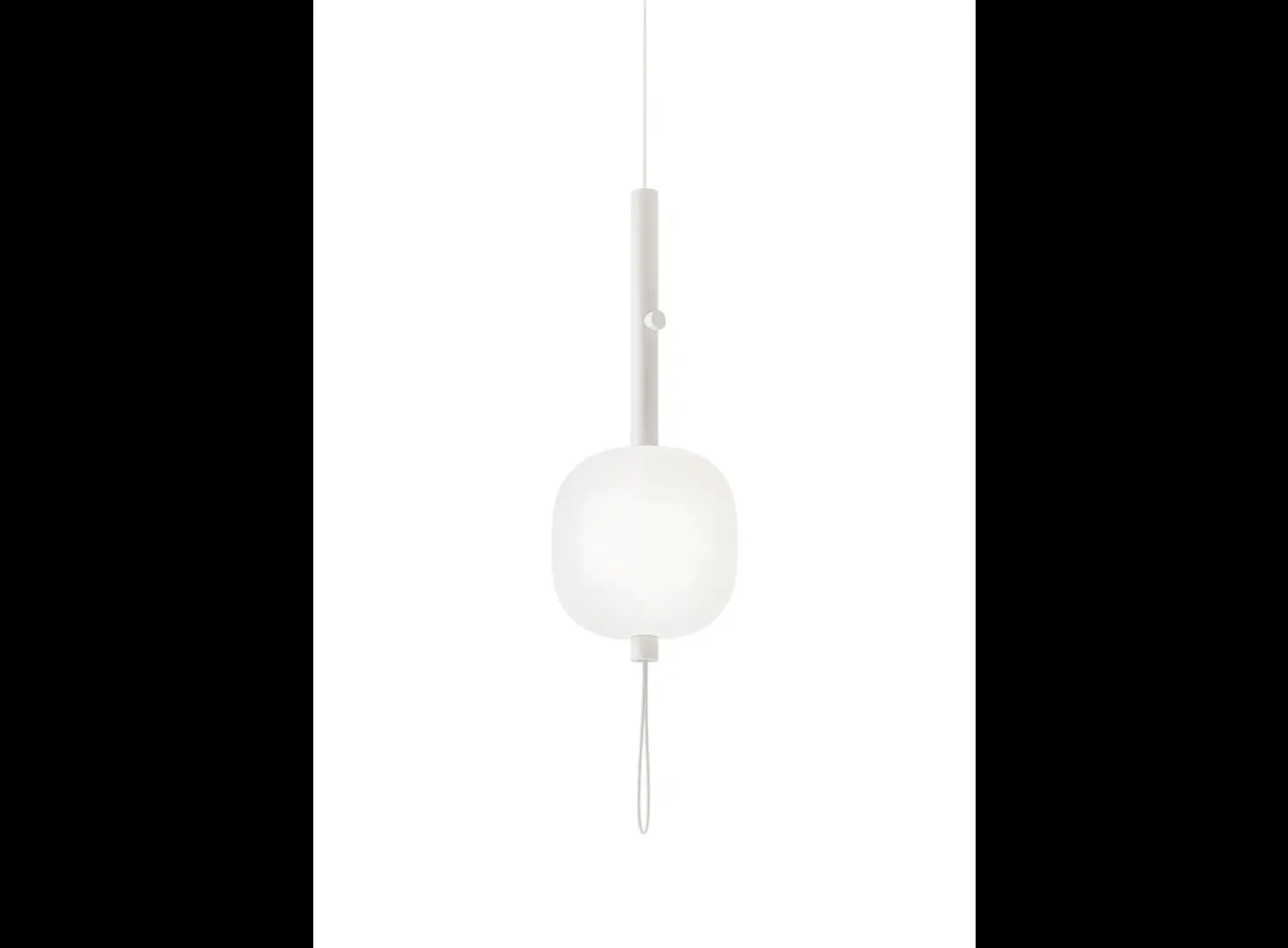 KDLN - Motus white