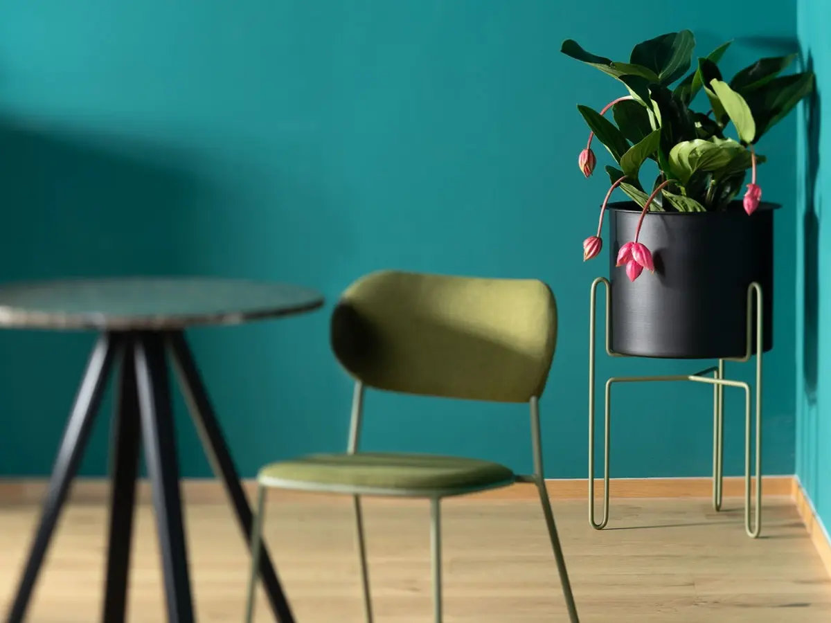 Meridius Planter