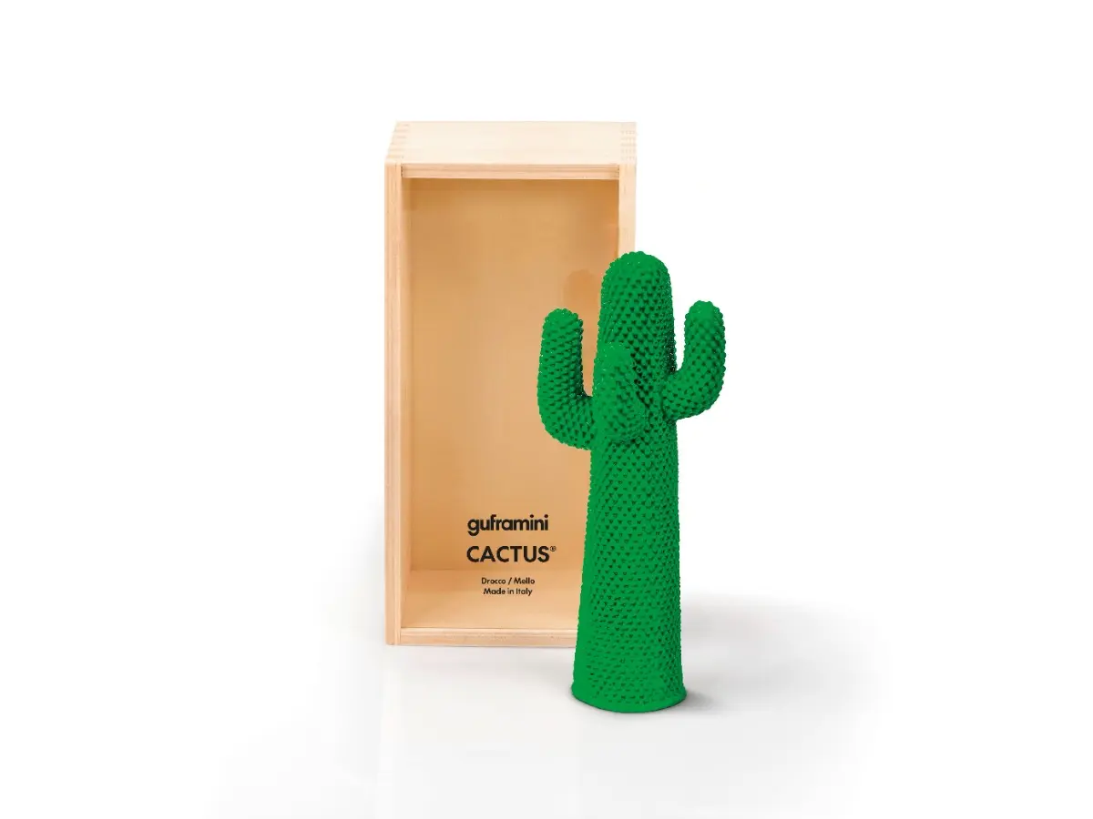still_guframini_cactus.jpg