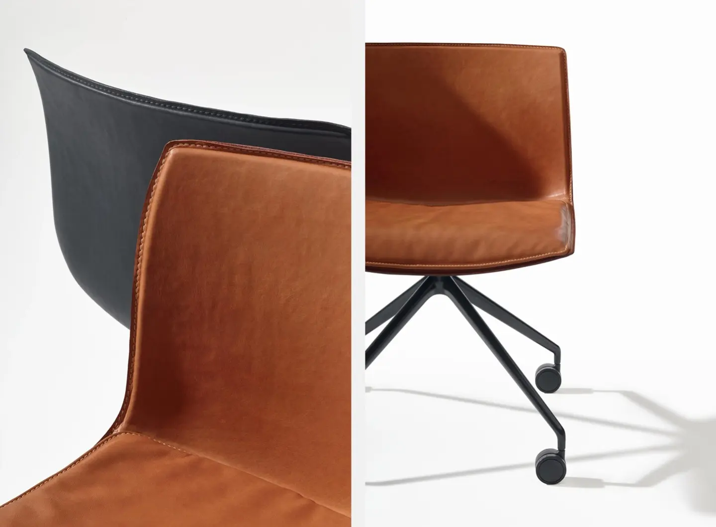 Catifa (RE) 53 Collection