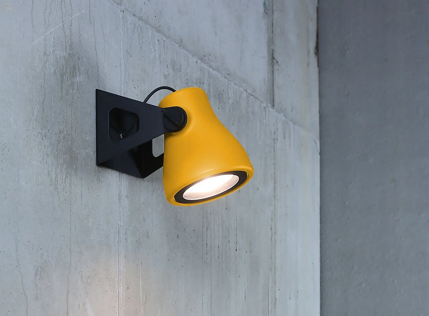 Martinelli Luce - Frog