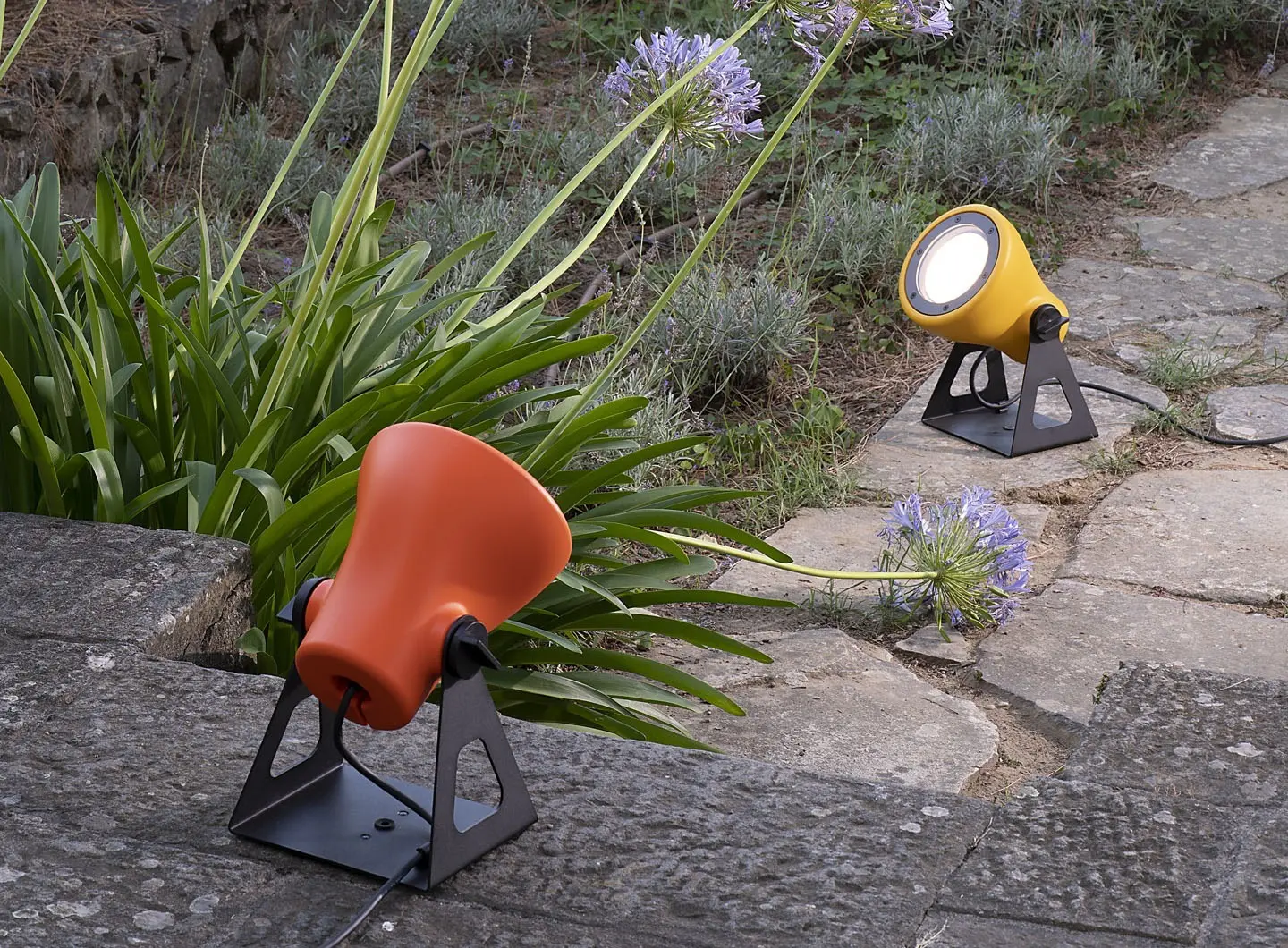 Martinelli Luce - Frog