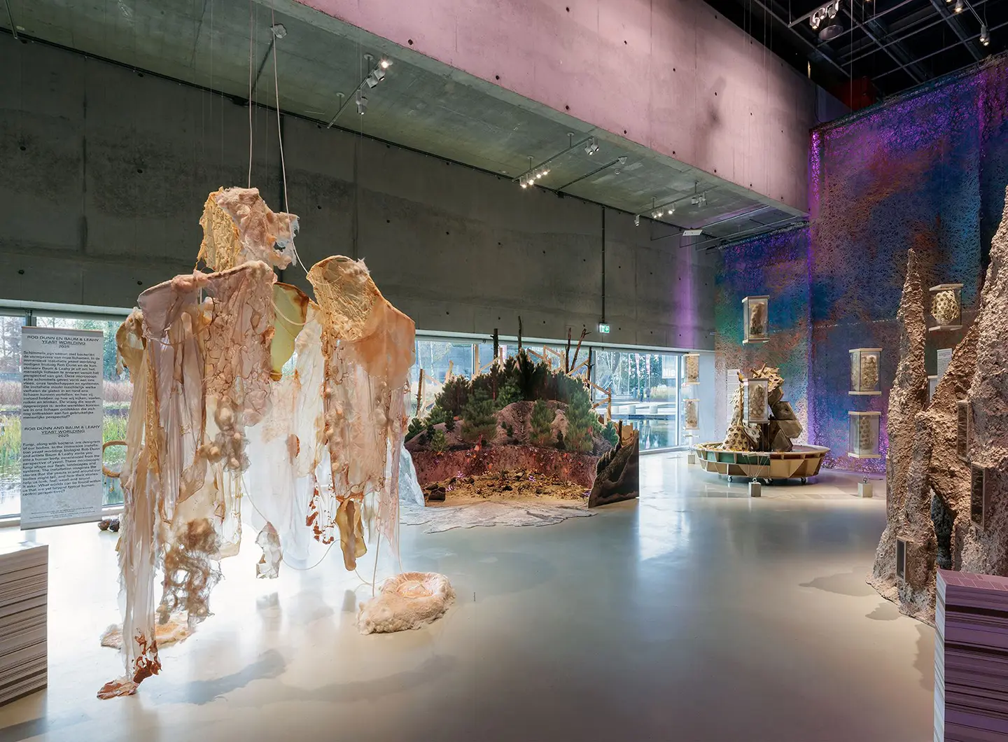 FUNGI. Anarchist Designers. Ph. Aad Hoogendoorn, courtesy Nieuwe Instituut