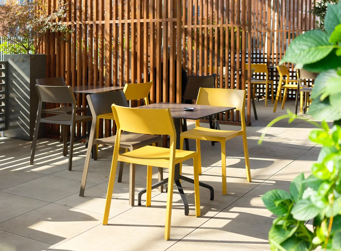 Trill Bistrot - Base Frasca 