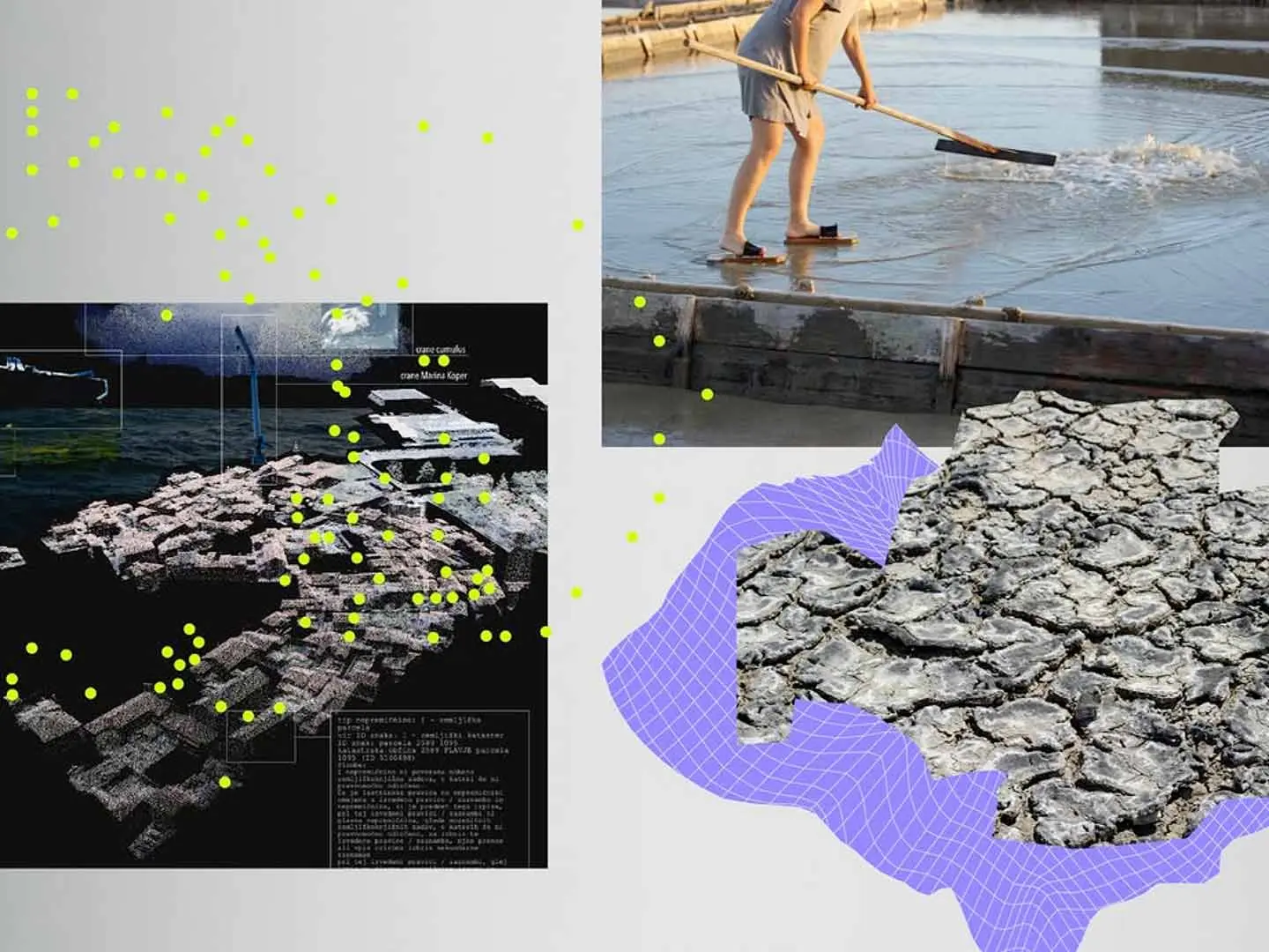 Biba: Function. Context. Idea. 