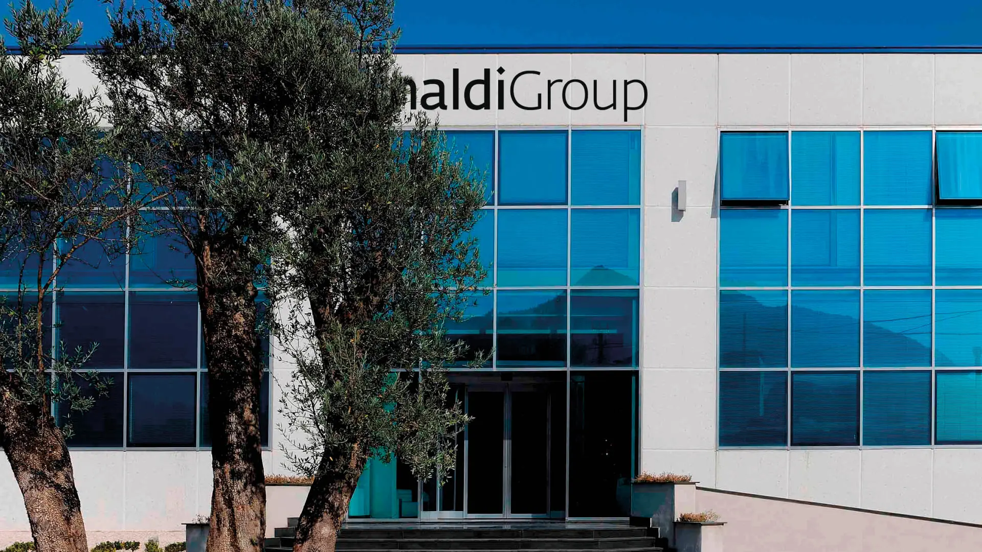 Rinaldi Group